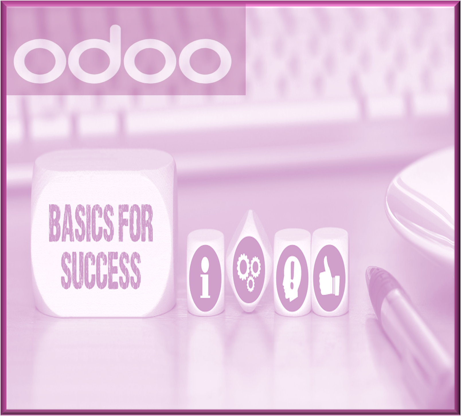 Grundlagen - Odoo sicher beherrschen